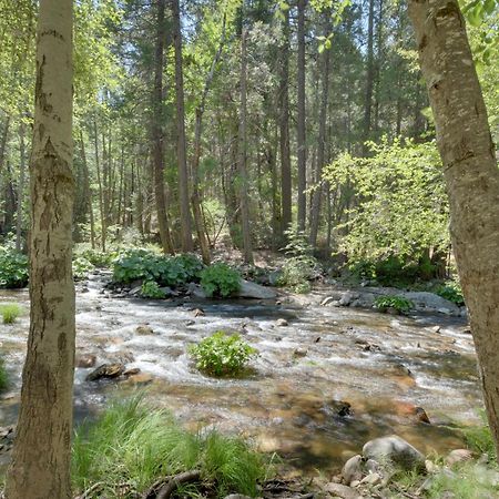 Riverfront Home Near Yosemite National Park! グローヴランド エクステリア 写真